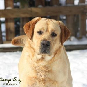 Meet your Posher, Jill